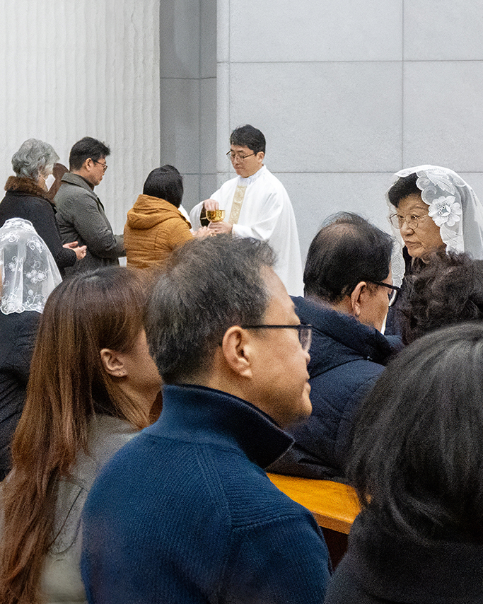 DSC08314.jpg